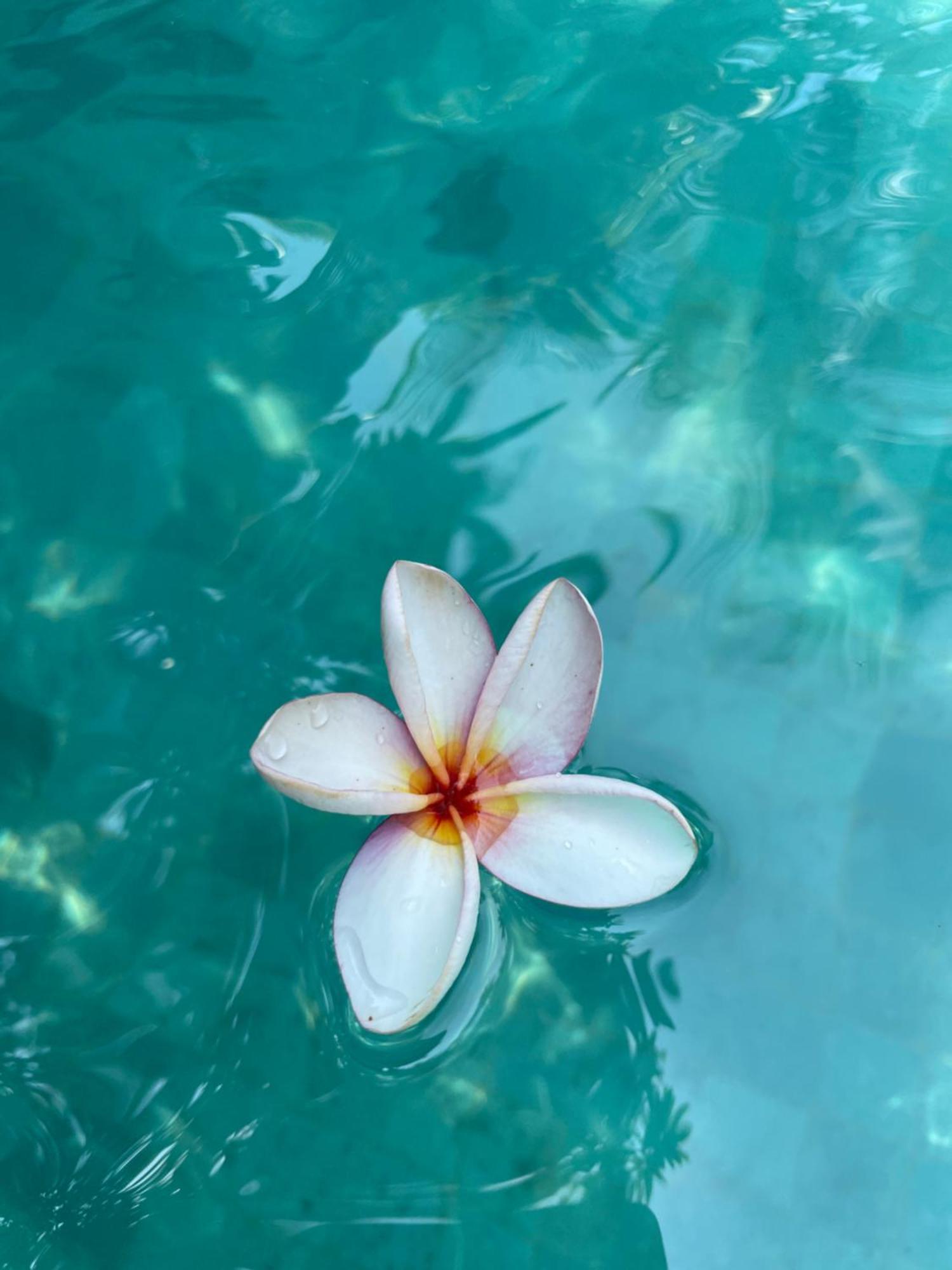 Umakayu Joglo Villa Canggu - Boutique Hotel Eksteriør bilde