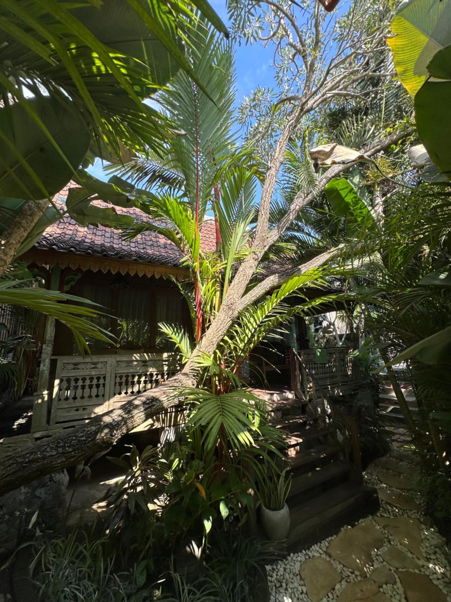 Umakayu Joglo Villa Canggu - Boutique Hotel Eksteriør bilde